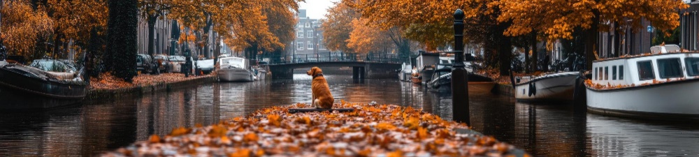 amsterdam canal